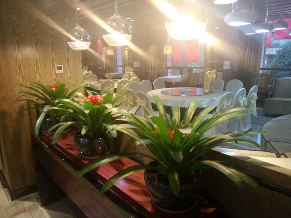 Chengdu Hello Hotel Shuangliu Exterior foto